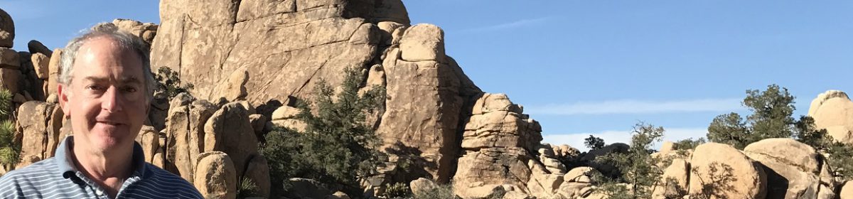 Tom Levien Consulting